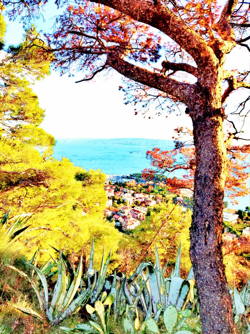 View of Adriatic Sea from Marjan Park, Dalmatia, Croatia