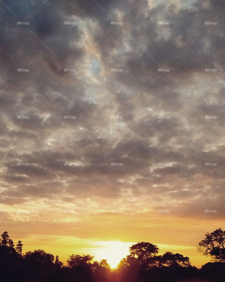 🌅Desperte, Jundiaí!
As cores do #amanhecer embelezam a #TerraDaUva.
🍃
#sol #sun #sky #céu #photo #nature #morning #alvorada #natureza #horizonte #fotografia #pictureoftheday #paisagem #inspiração #mobgraphy #mobgrafia #FotografeiEmJundiaí #AmoJundi