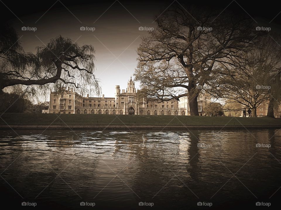 Cambridge University 