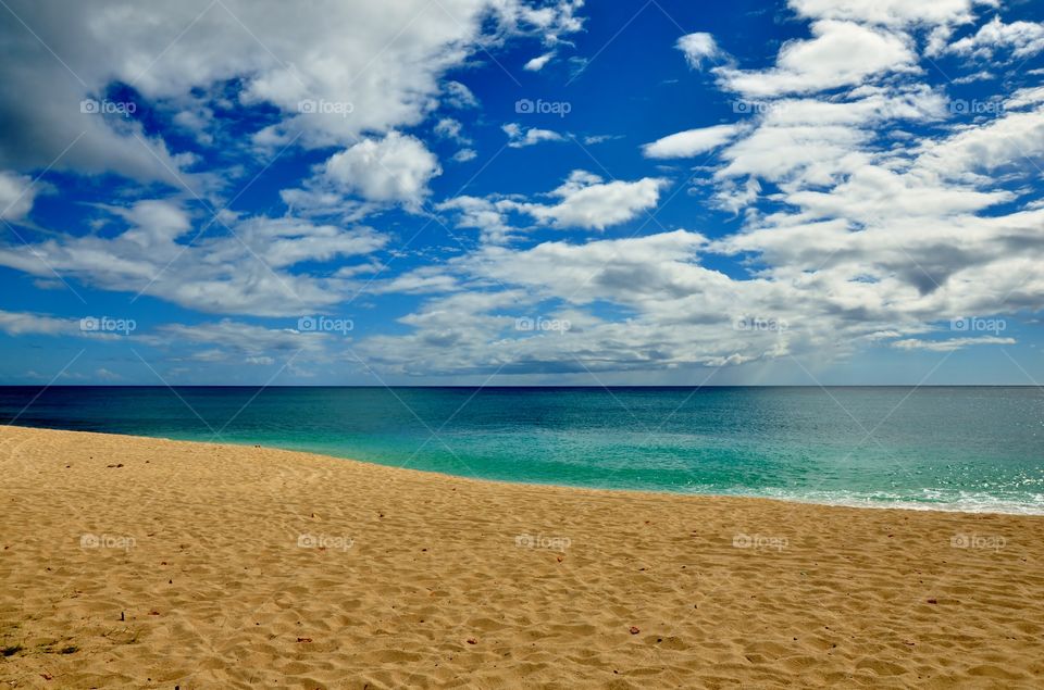 Pristine Hawaiian Beach 
