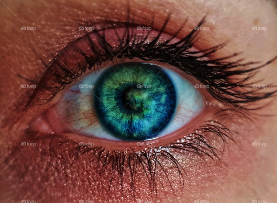 eye