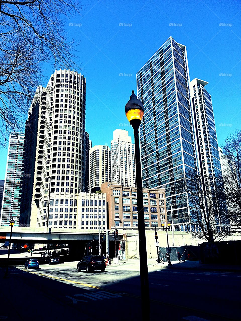 Chicago Lamppost