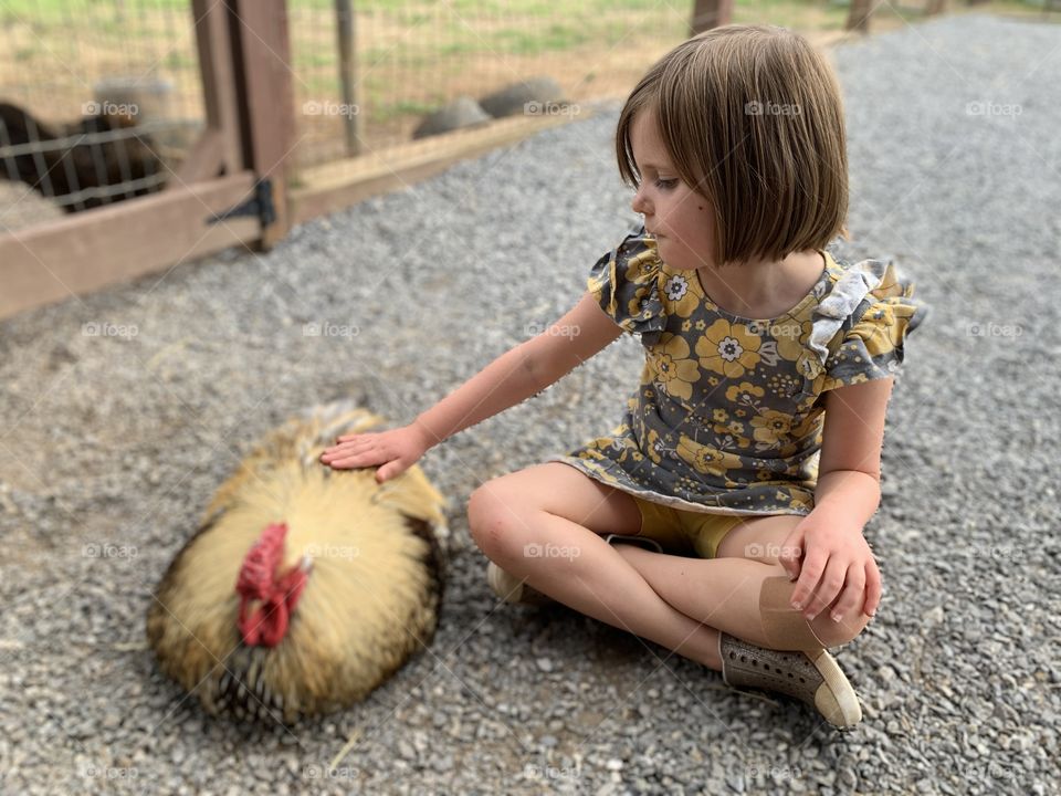 Girl petting a chicken on a summer day