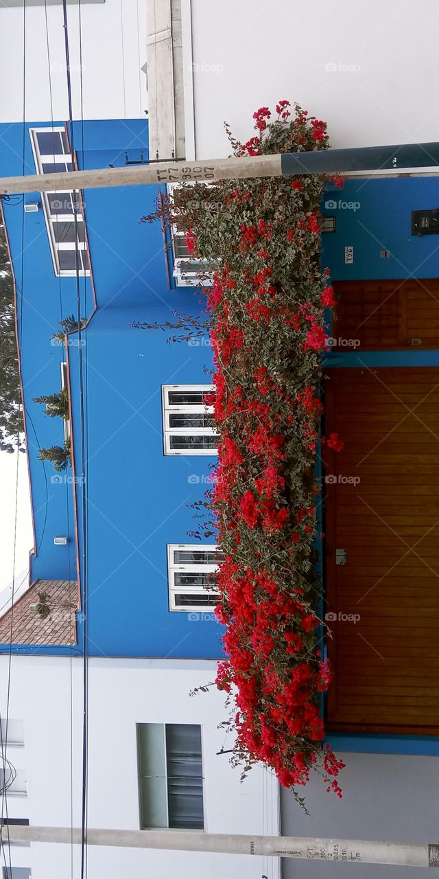 Perspective and vision