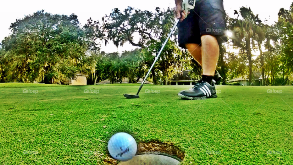 green sports golf florida by bcpix