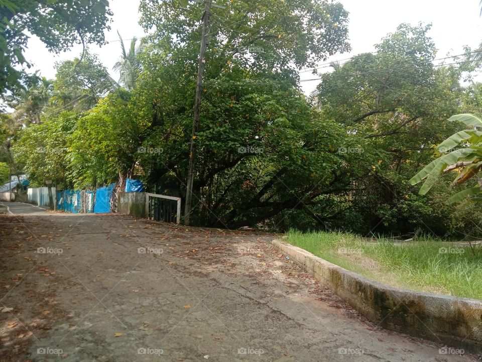 The root keeps me stronger, I'm growing and glowing wider and wilder 😍❤️✨