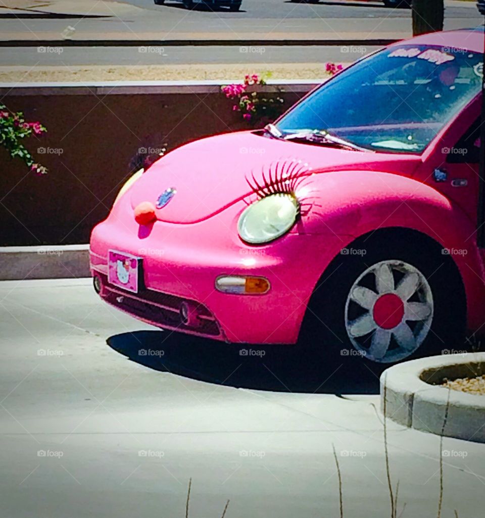 Bug with Lashes