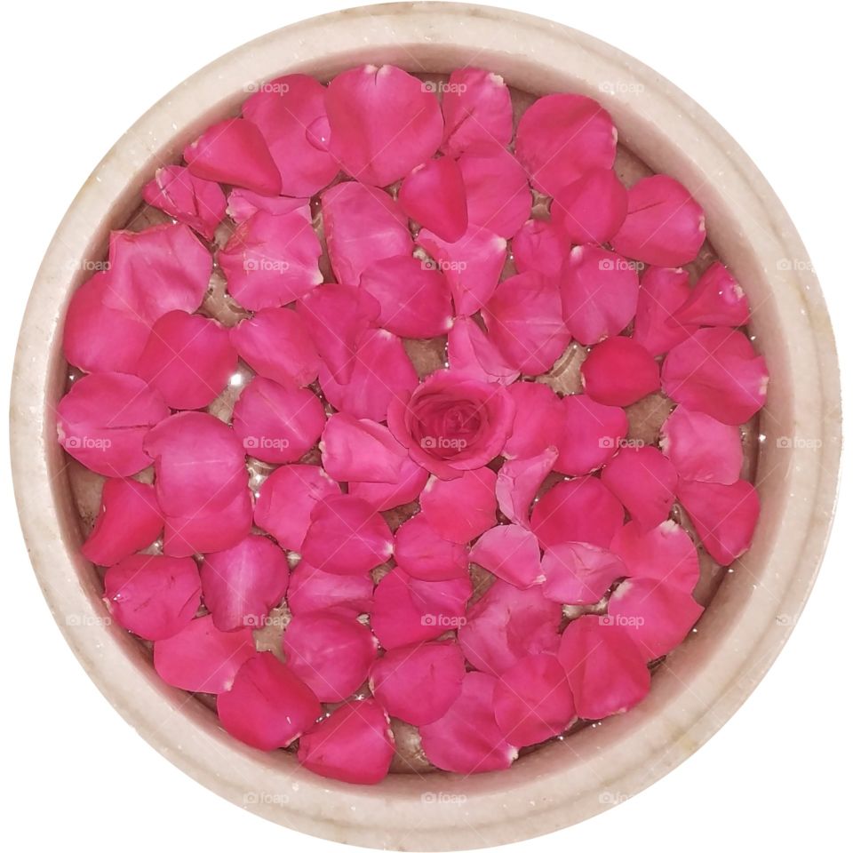 It is a stoneware which is of white color and is filled with water and Red colored Rose have also been added to it and it looks very beautiful.