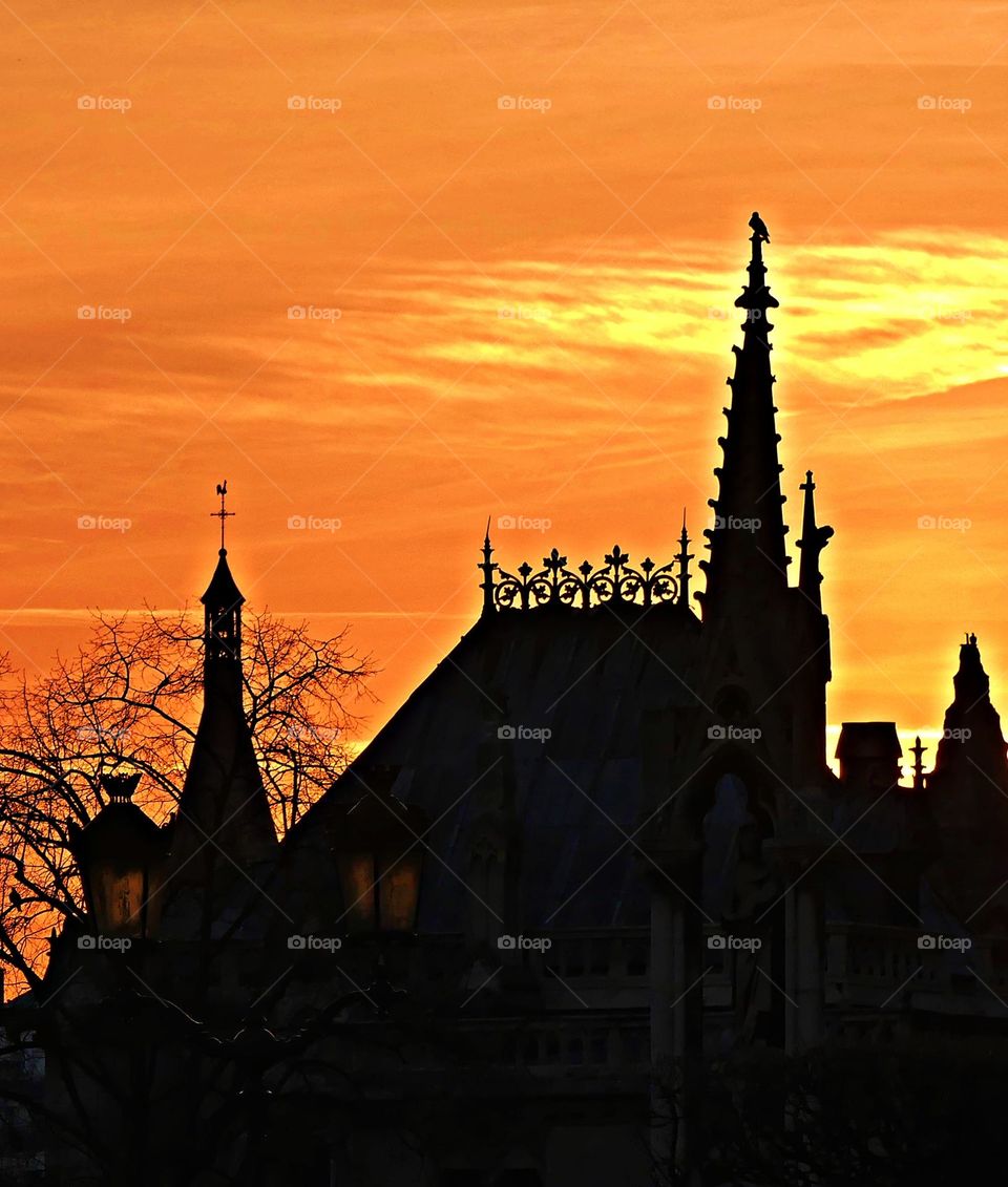 Magic of Sunrise and Sunset - A bird is perched on the steeple of the in the sunset during the restoration of the Notre Dame Cathedral 