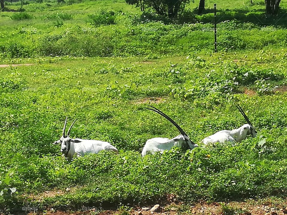 How much do you like this photo