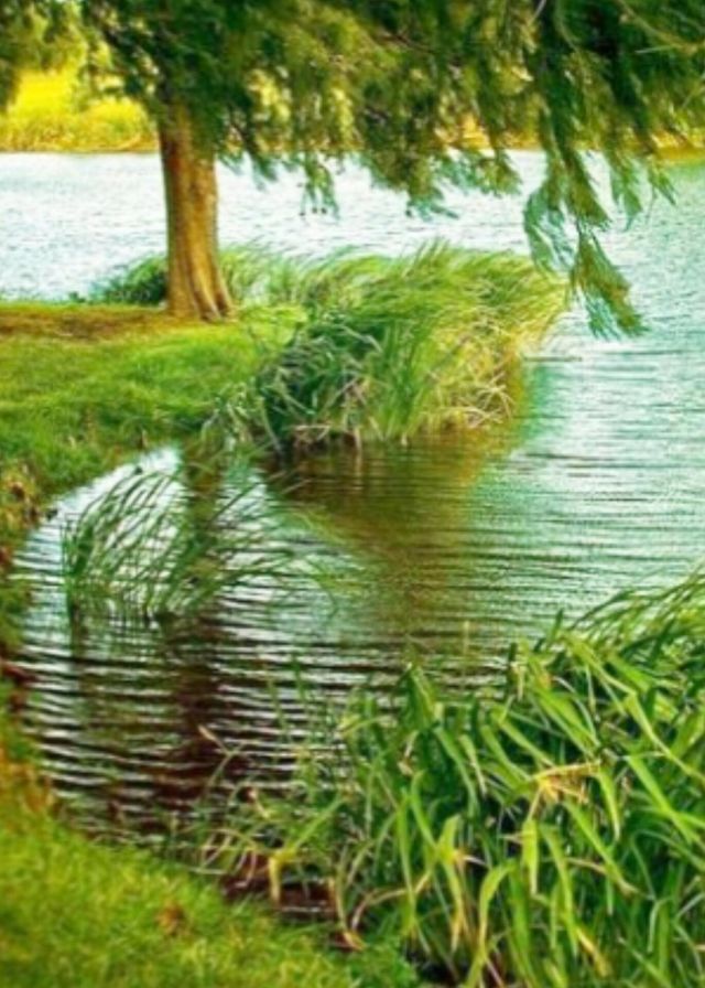 village river