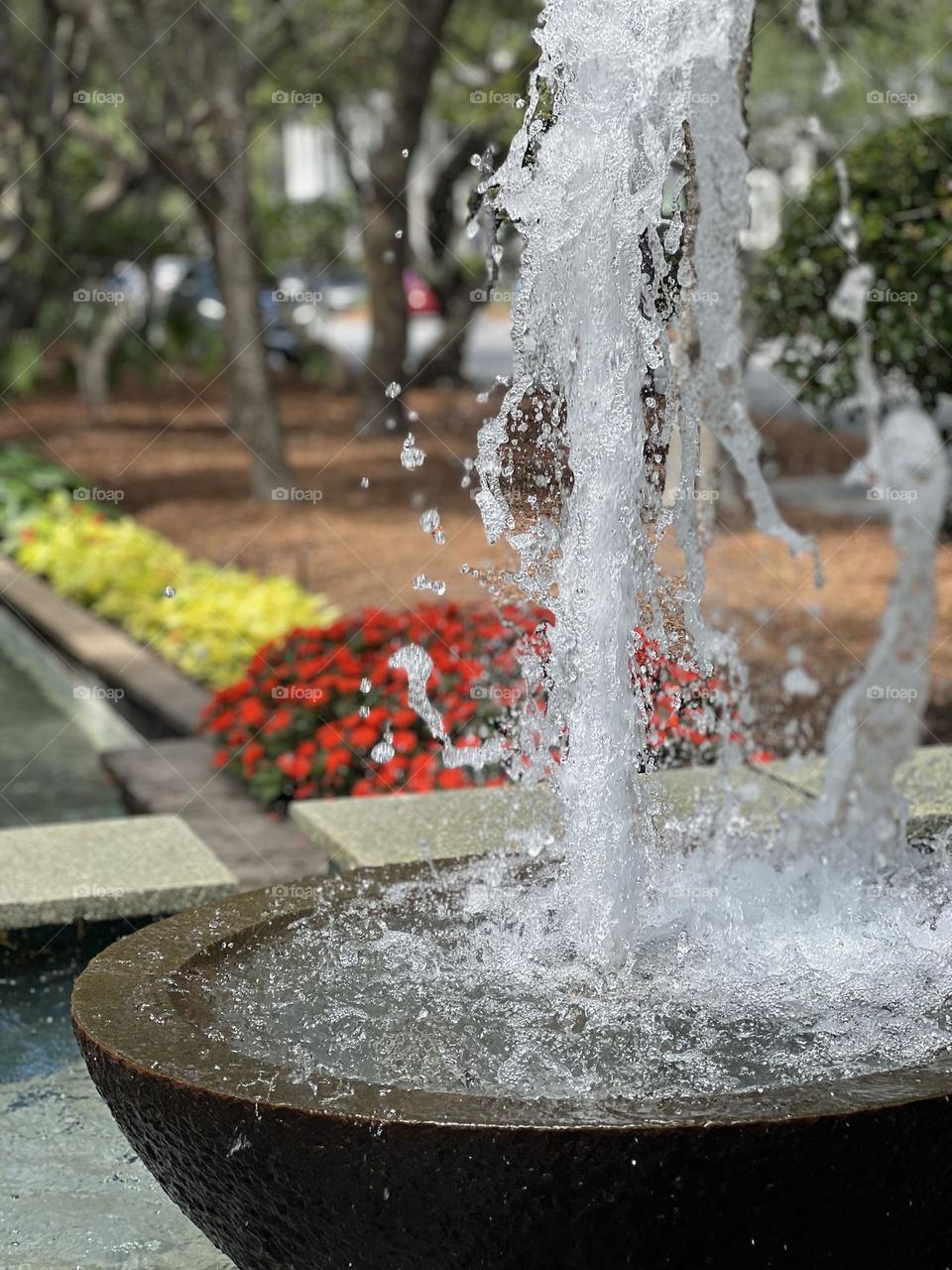 Closeup of a water fountain in a city park. It’s a sunny day and background contains trees and vibrant red and yellow spring flowers