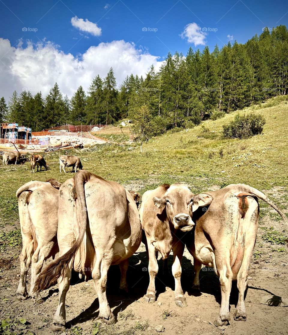 Val d’Isère , Août 2023 . 