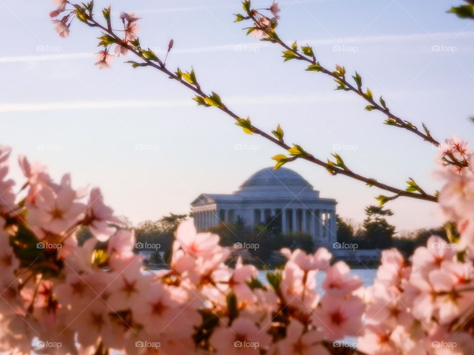 Jefferson Memorial 
