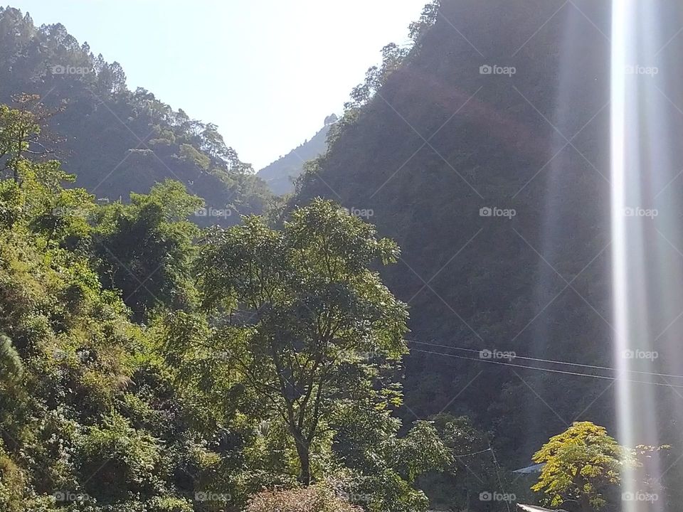 Nature in purest form