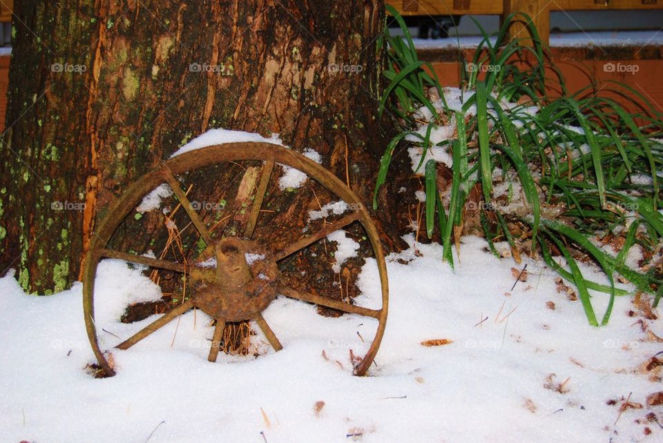 Wheel in the snow