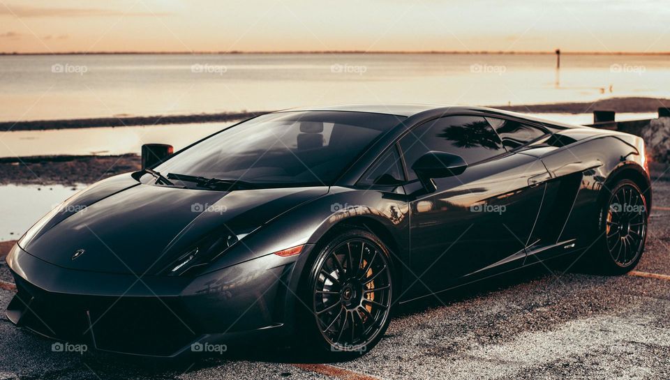 Enjoy This Beautiful Images With Me And  Supported Me to explore more and more images for you