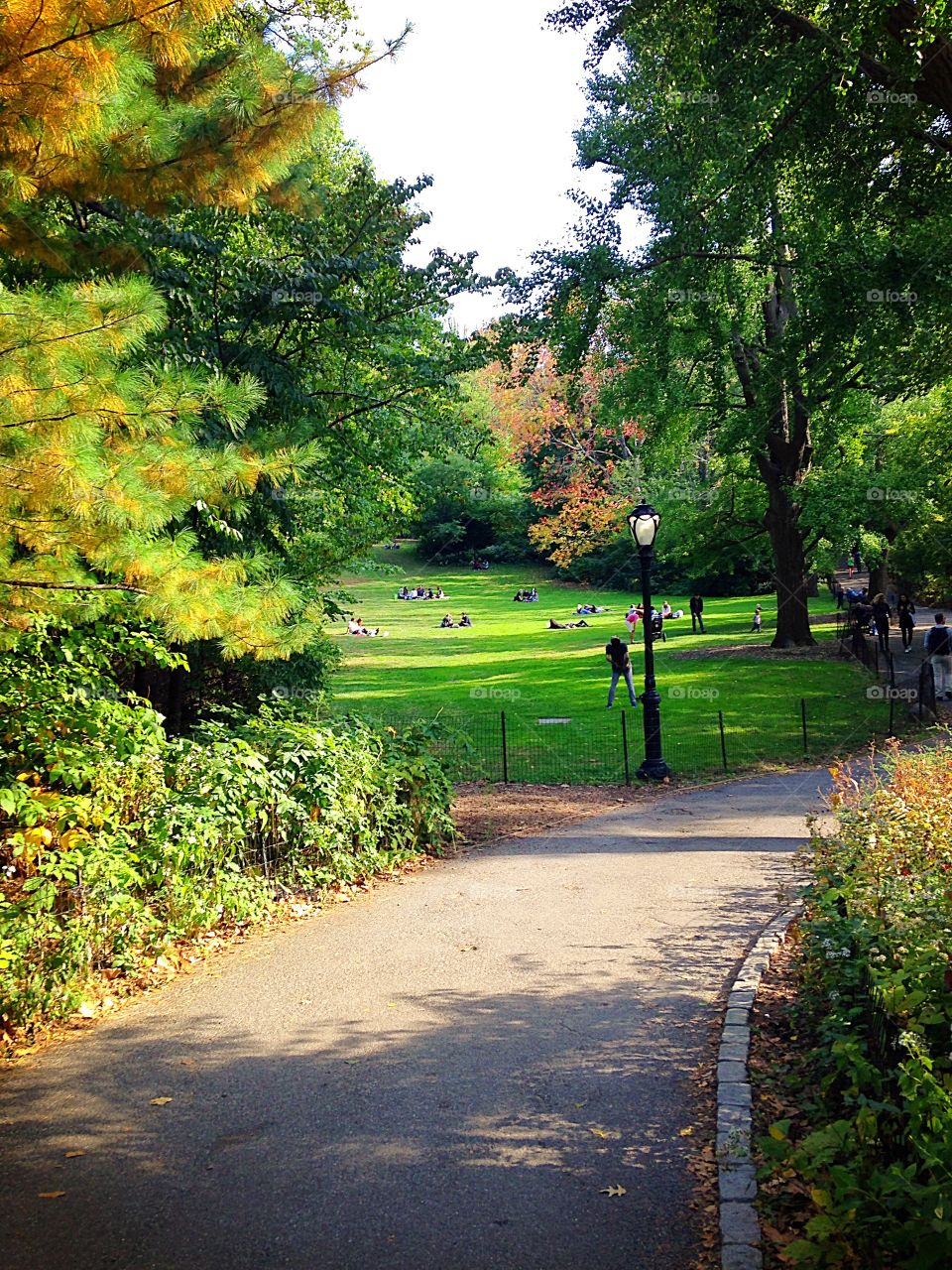 A walk through Central Park...