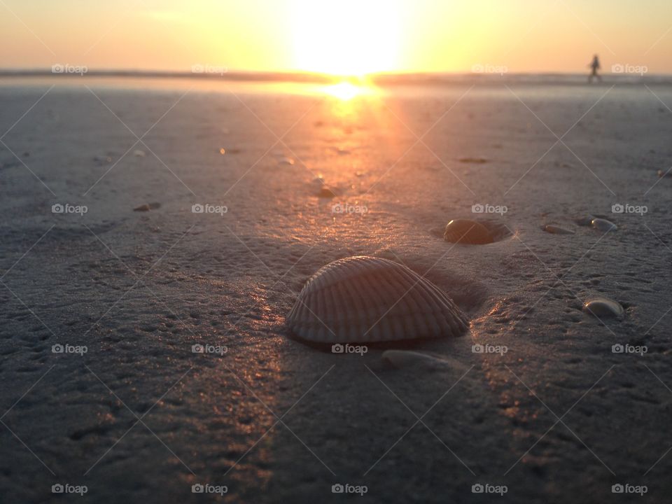 Sunrise on St. Augustine Beach with closeup of shells and silhouette of jogger 