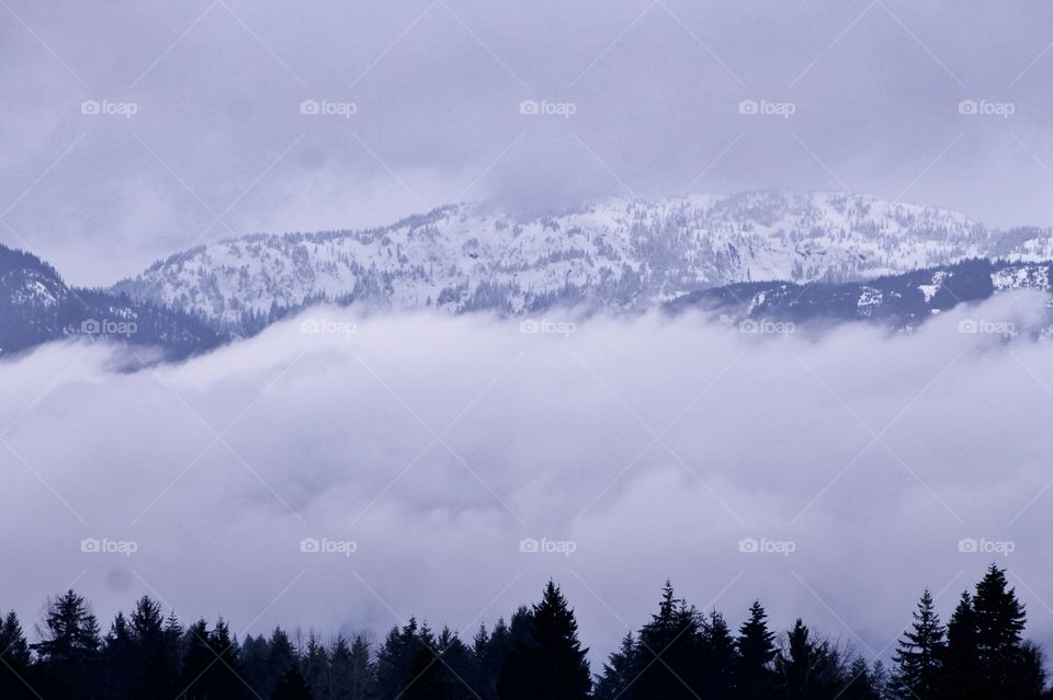 A misty, foggy shot of the snow covered Pacific Northwest mountains  purple in the waning winter daylight. A ‘V’ for Vicky cut in the tree line attracted me to this shot! 