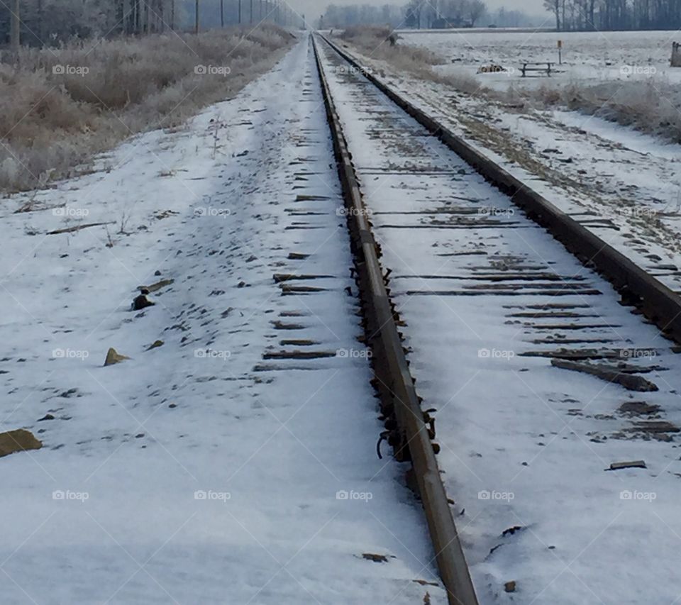Snow on the Tracks