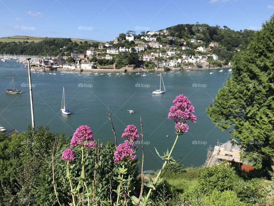 Another remarkably beautiful scene from Dartmouth in glorious summer sunshine.