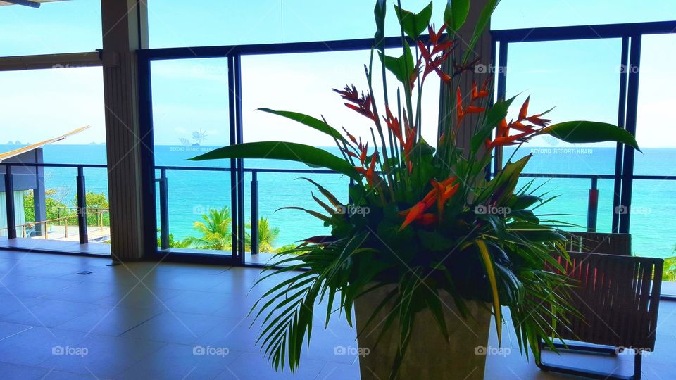 Gorgeous exotic plants, that can't help but brighten your day. So bright and vibrant.