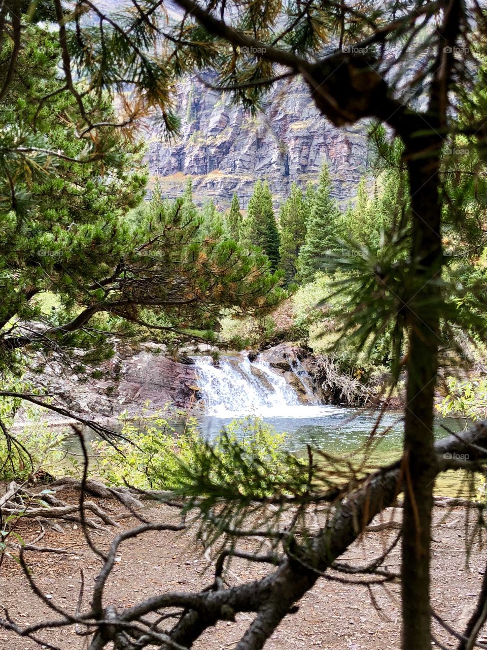 Waterfall through the Pines