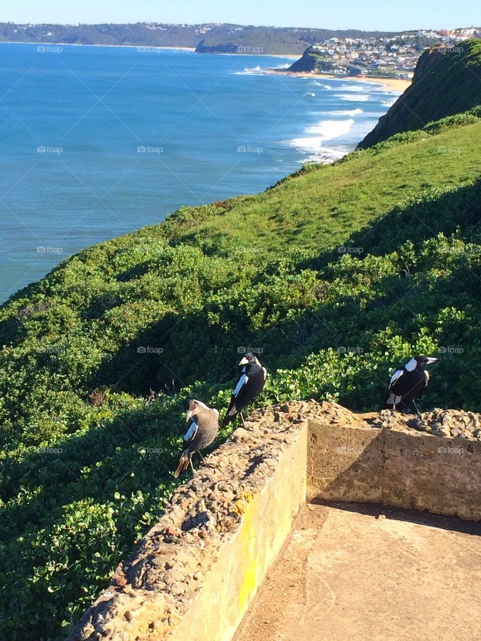 Beach bird view 