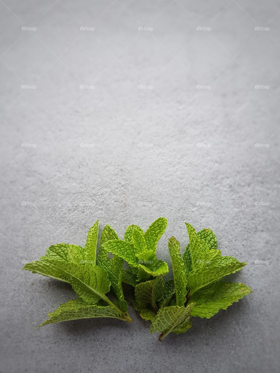 Mint leaves on background fresh