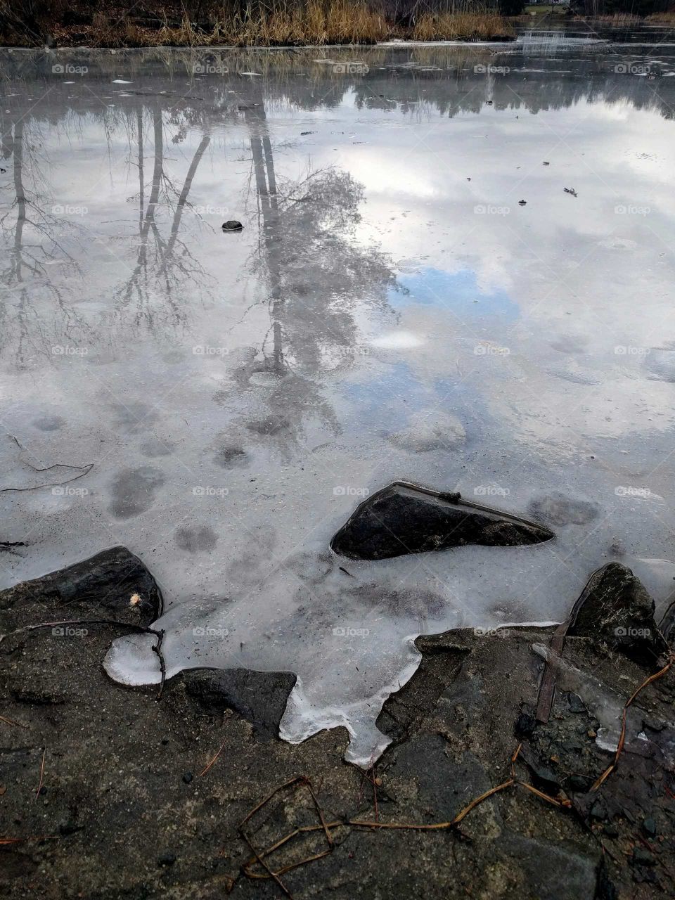 Ice storm reflected