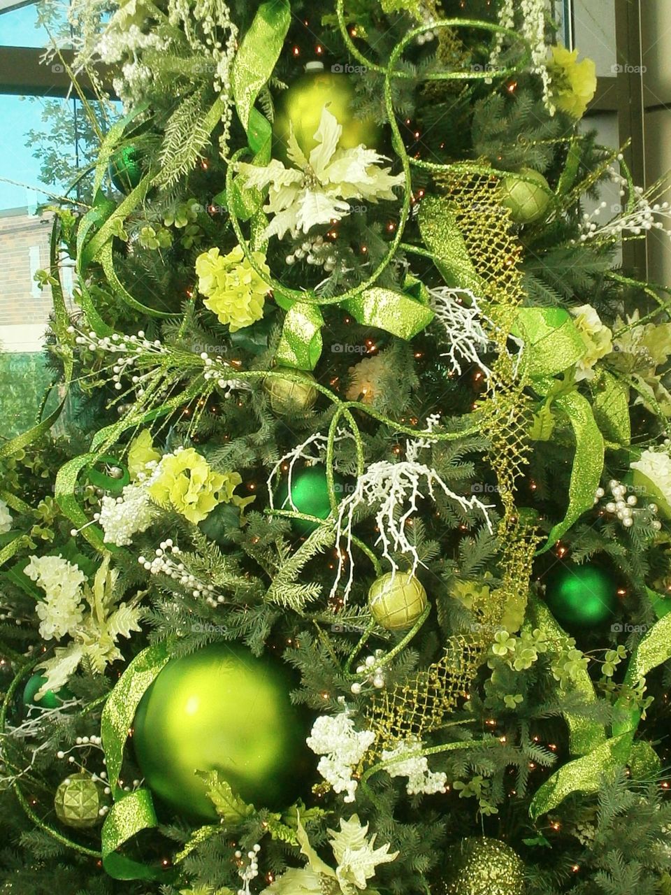 Green Christmas tree