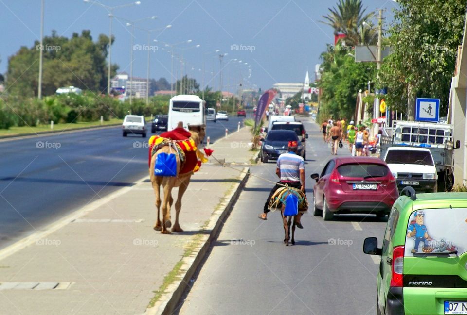 Road, Race, Competition, Traffic, Street