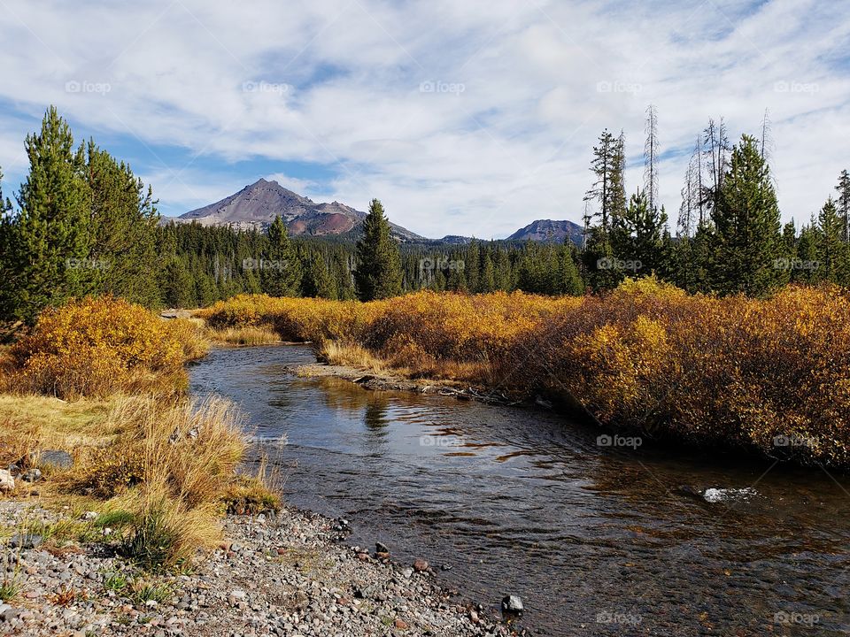 The beautiful Soda Creek in the mountains of Oregon with banks covered in golden fall foliage with the South Sister towering in the background. 