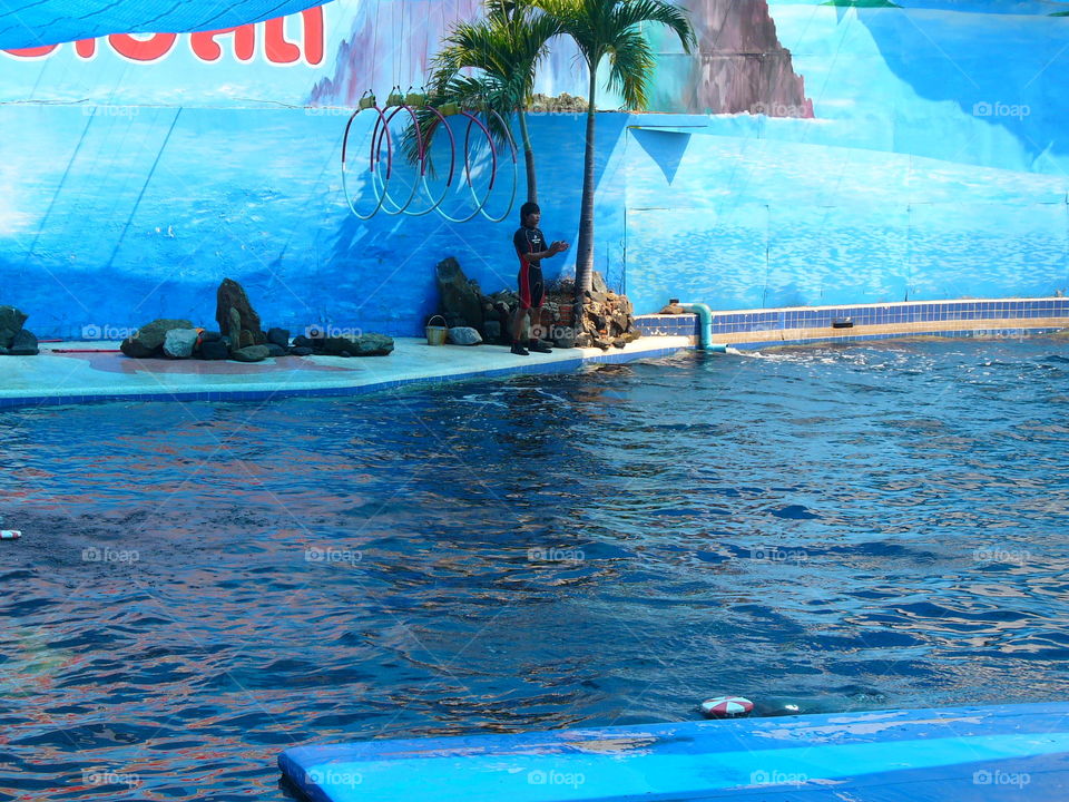 Swimming, Water, Dug Out Pool, Summer, Turquoise