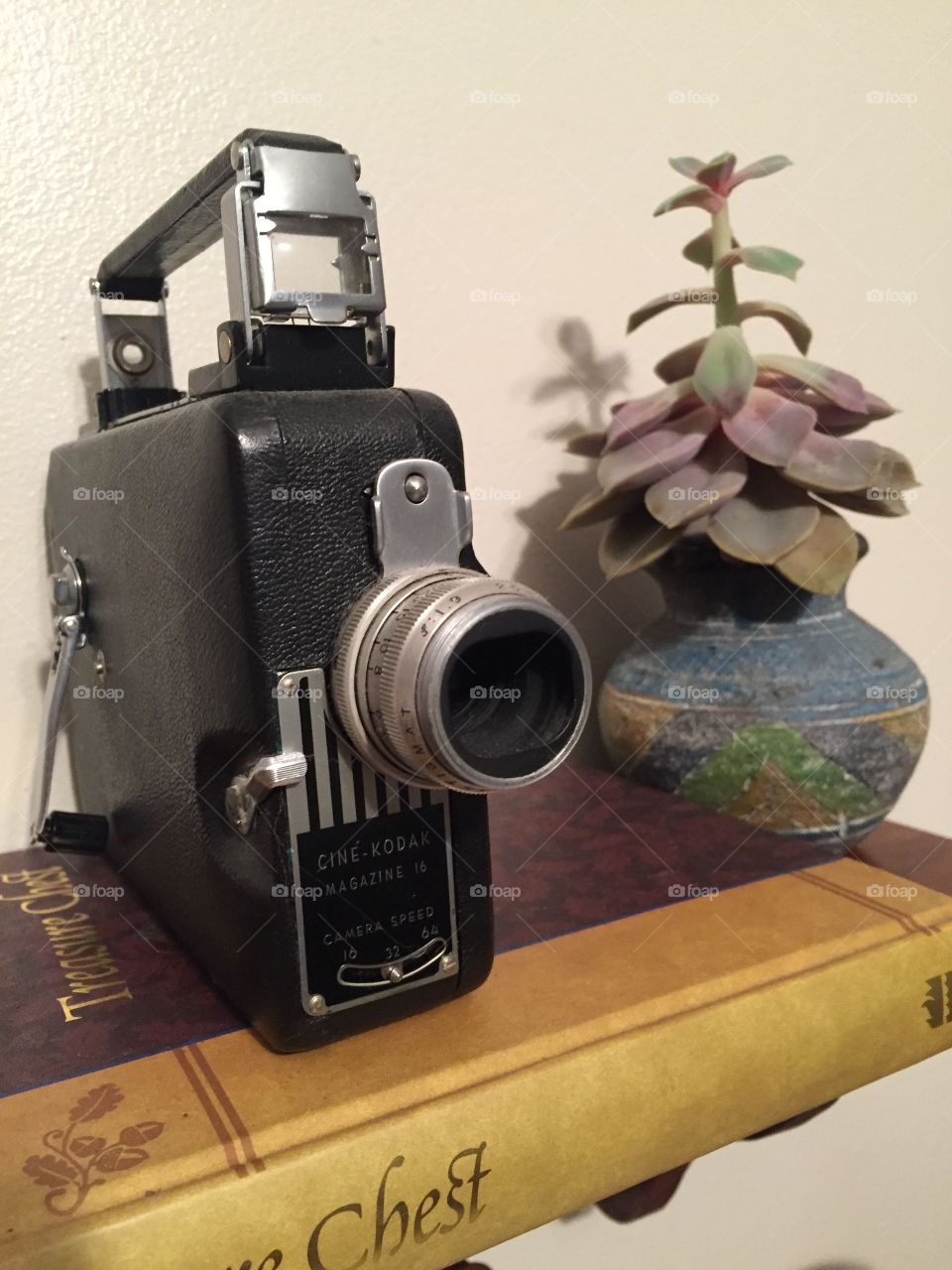 Vintage movie camera  on wooden shelf next to vase with a stem of leaves. 