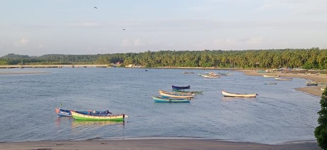 boats