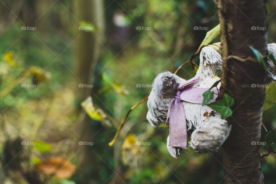 Abandoned teddy bear in forest