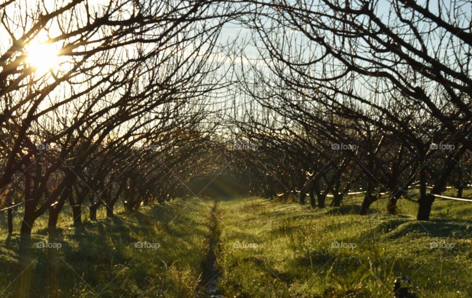 the beginning of winter