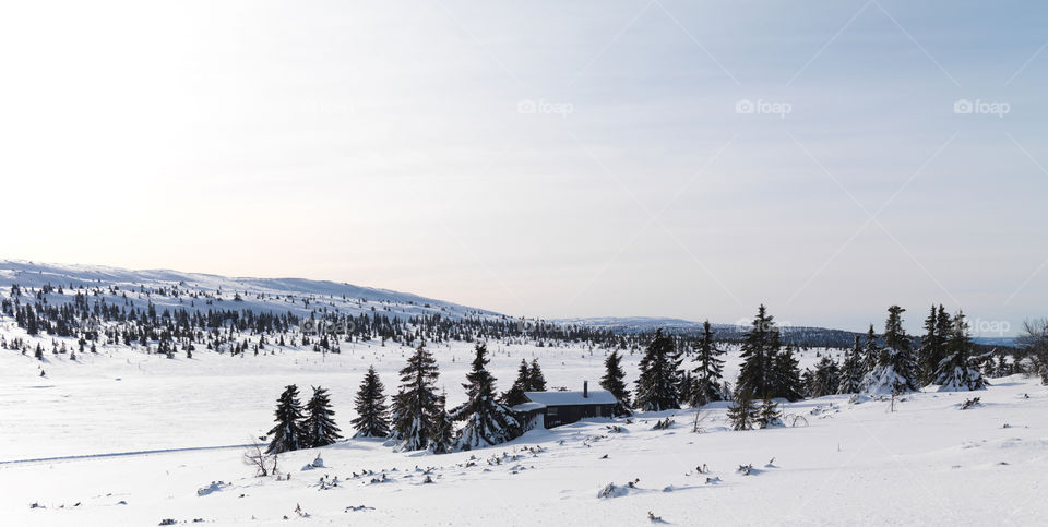 Winter Cabin