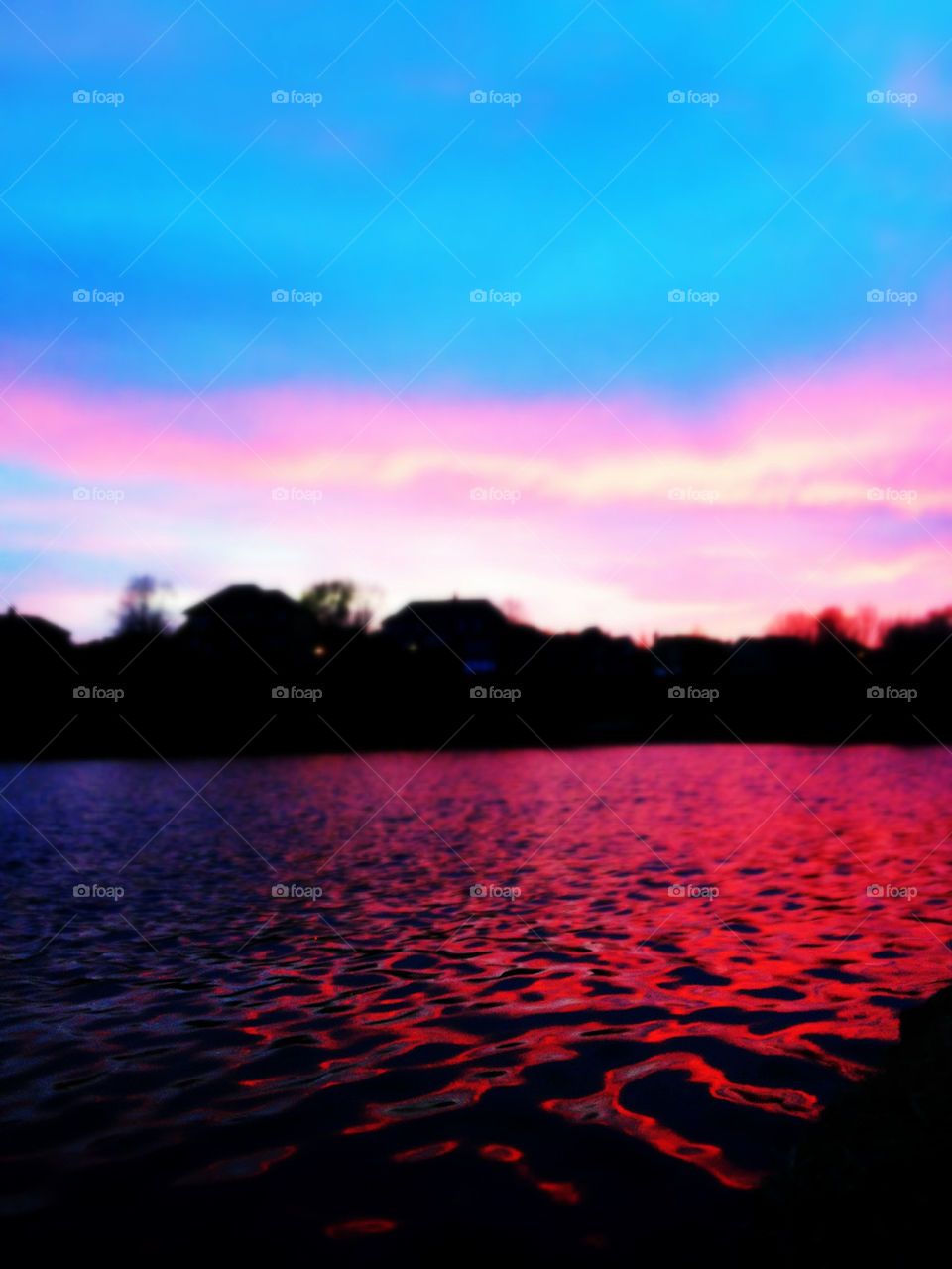 Pond in the neighborhood!