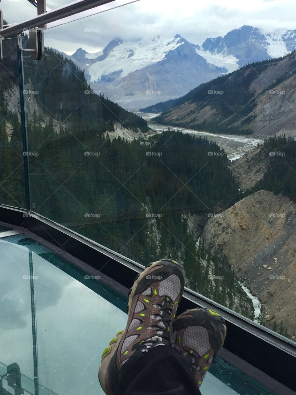 My view of the Canadian Rockies from the Glacier Skywalk