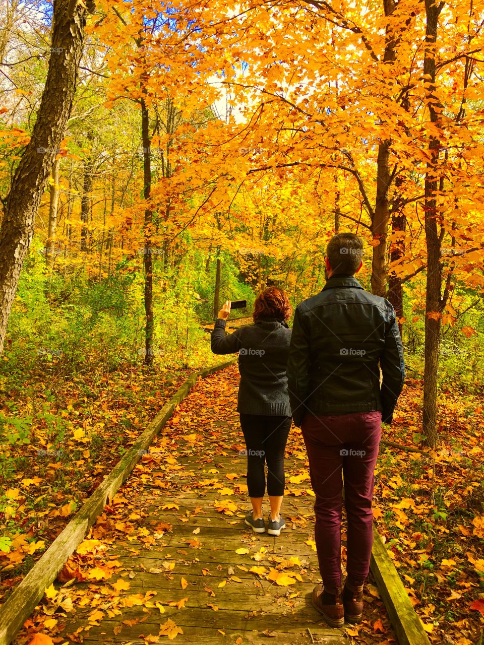 Woman photographing autumn trees in forest