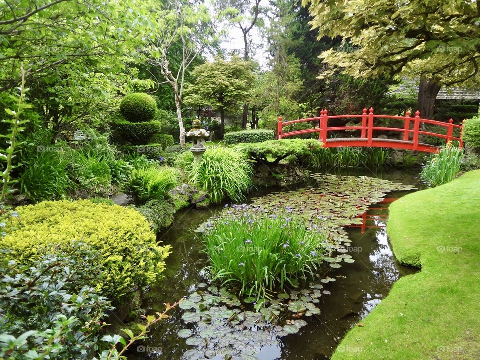 Red bridge in garden