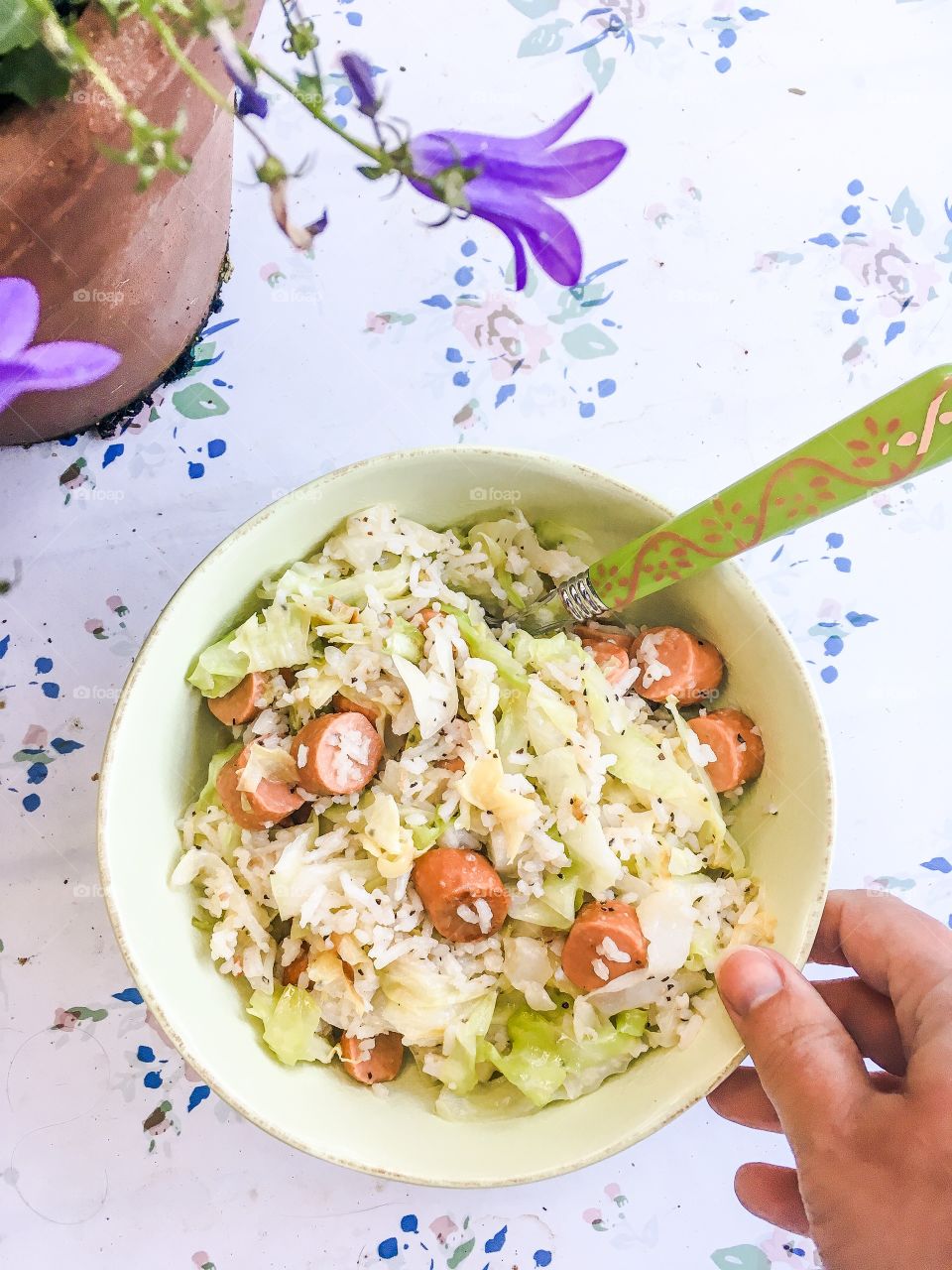 plantbased rice meal