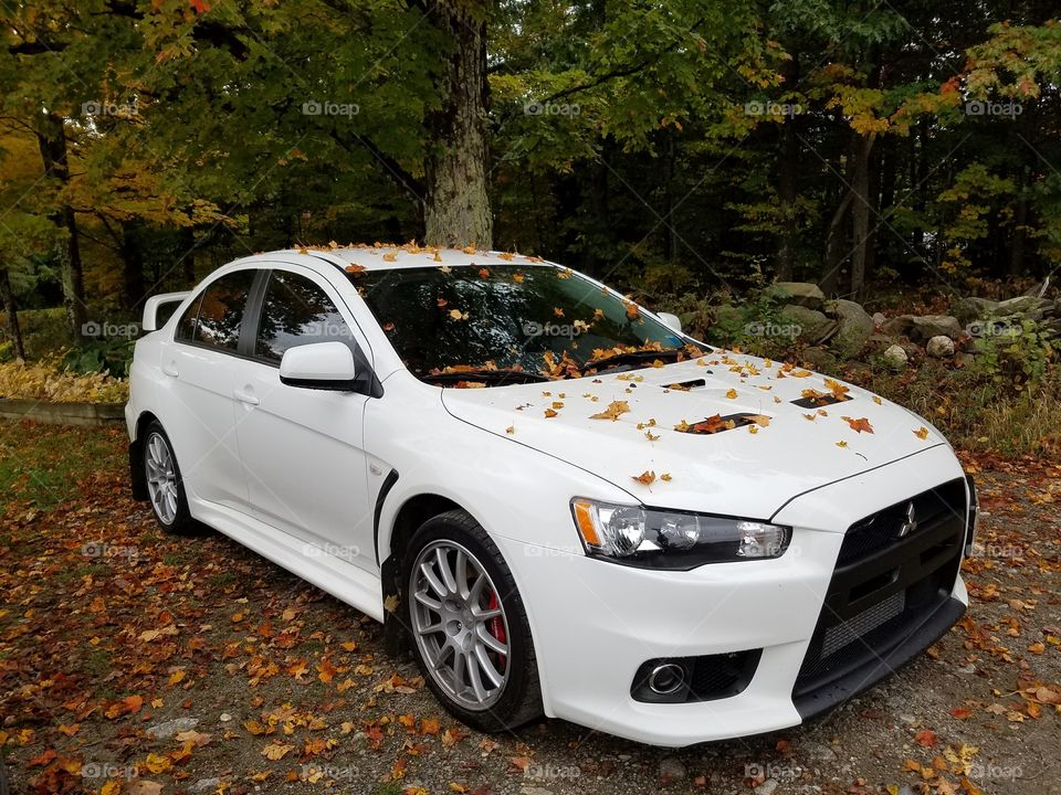 fall into an evo