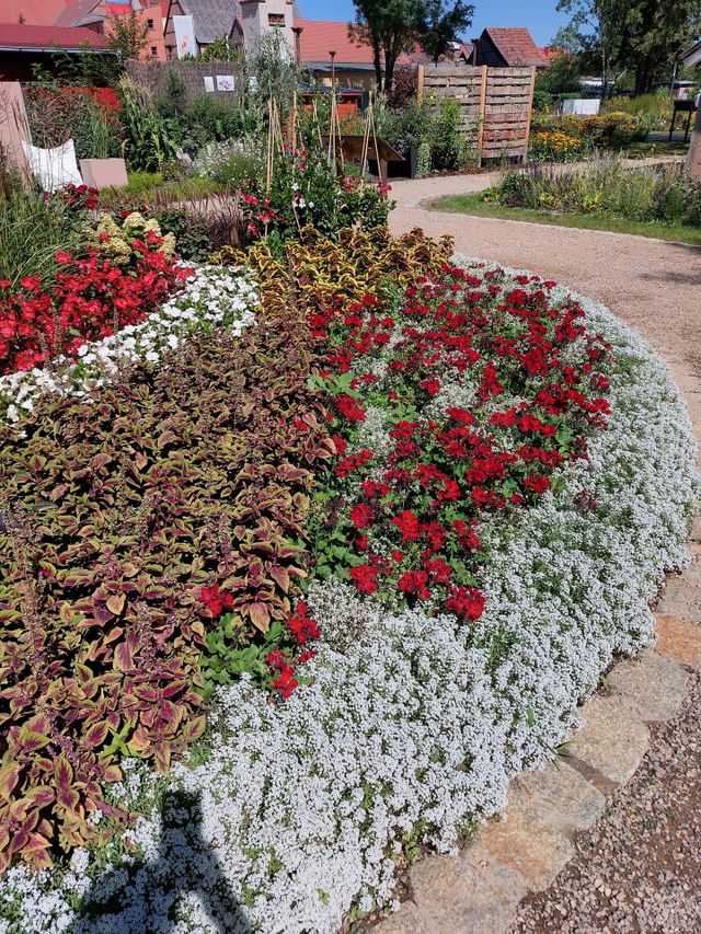 ein schöner Ausflug, In Beelitz, auf der Landesgartenschau, angelegte Rabatten,ein schöner Tag