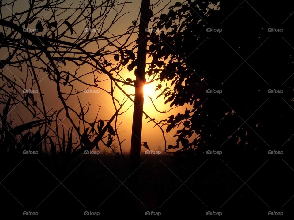 Sonnenaufgang im Nebel