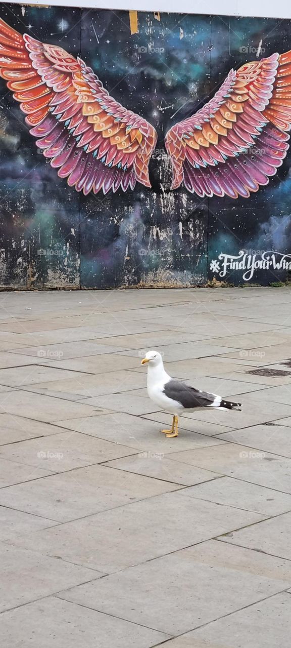 there be irony here somewhere