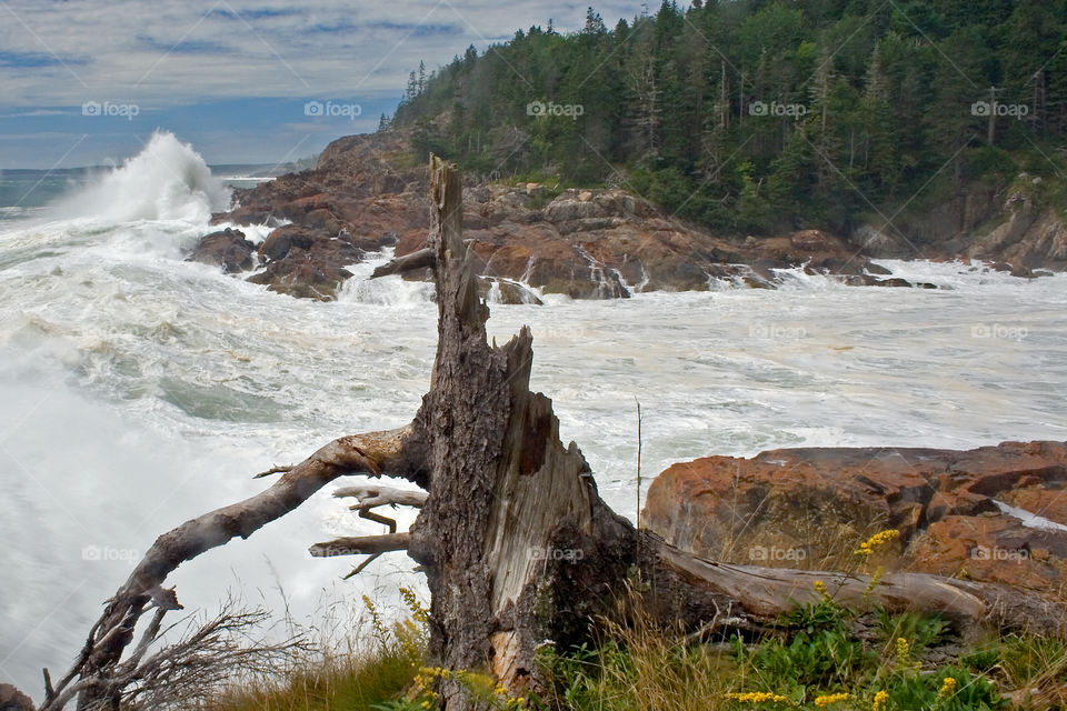 High Seas at Little Hunters Beach in Acadia National Park